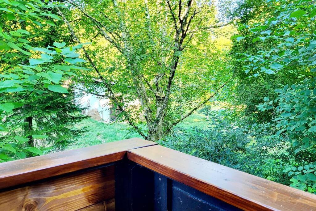 Colourful 2.5 Bedroom With Large Balcony & Garden. Prinzersdorf Exterior photo